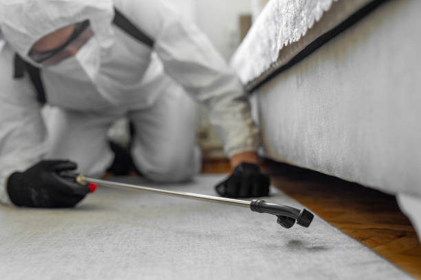 Professional Emergency Pest Control technician working in Rimersburg, PA